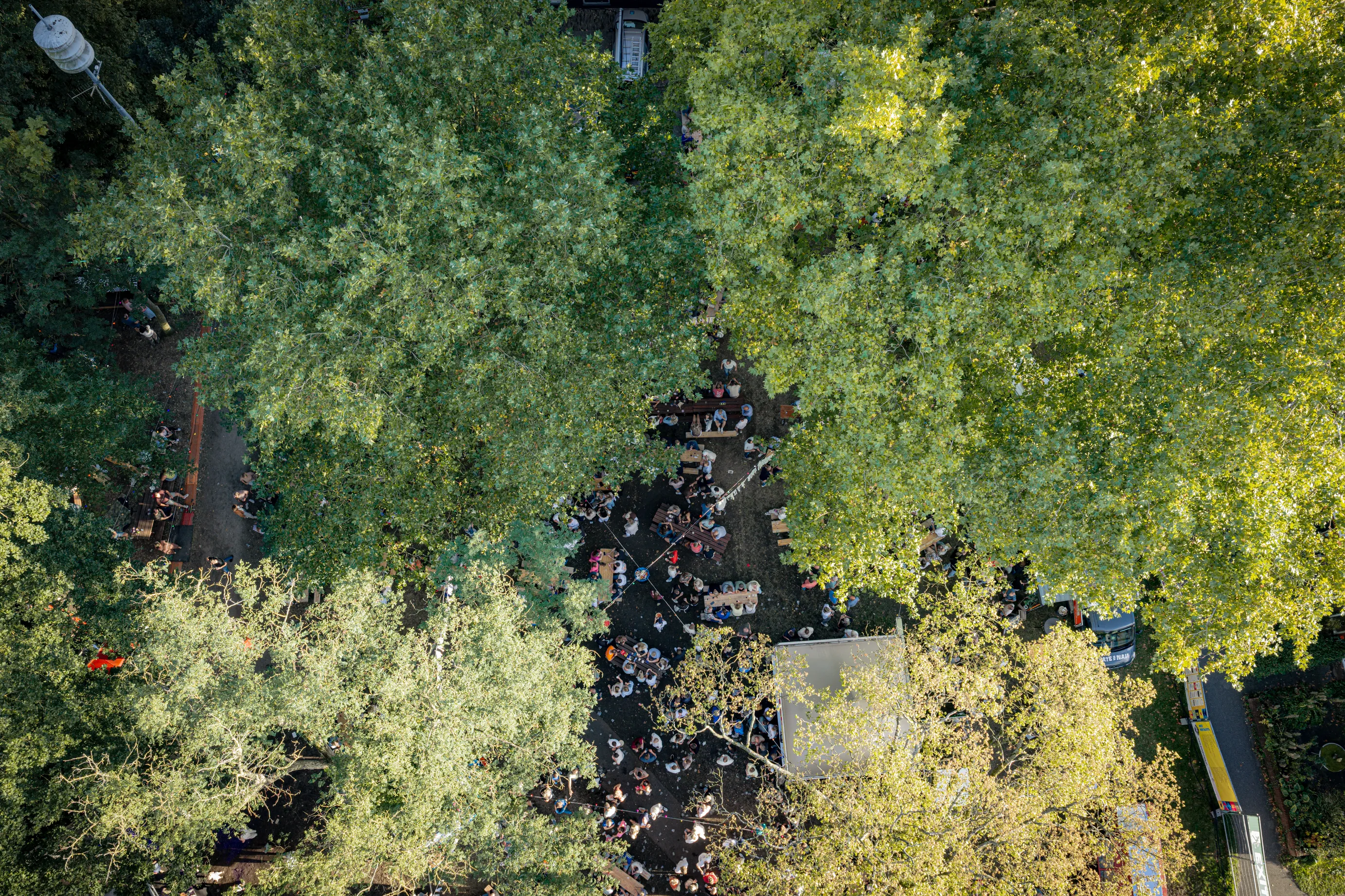 Photo from Smaek in 't Park, taken Sep 6, 2026 by Bram de Smidt