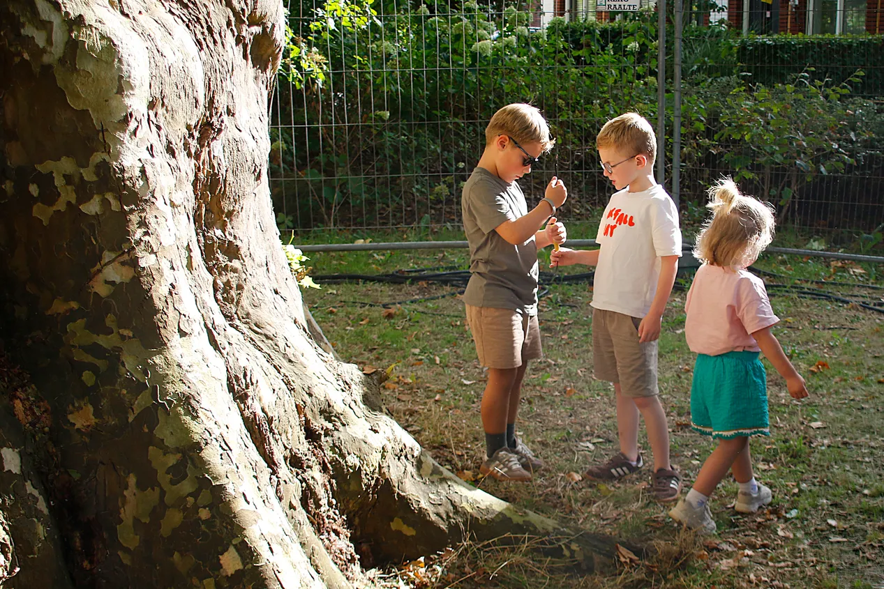 Photo from Smaek in 't Park, taken Sep 6, 2026 by Frank van Hienen